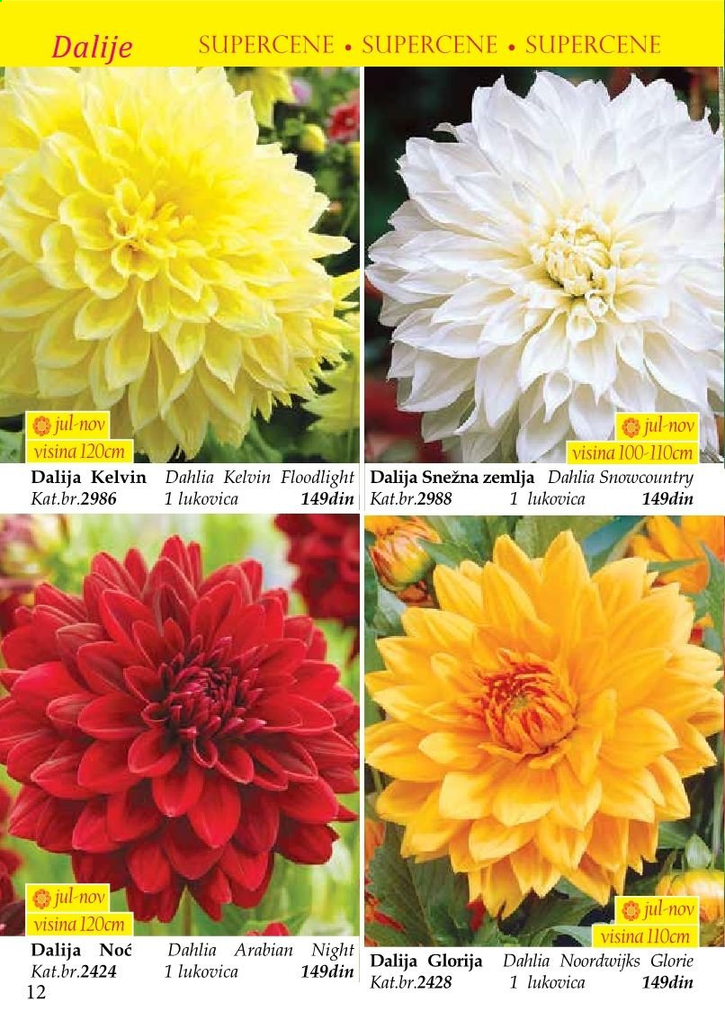 Flora Ekspres katalog. Stranica 12