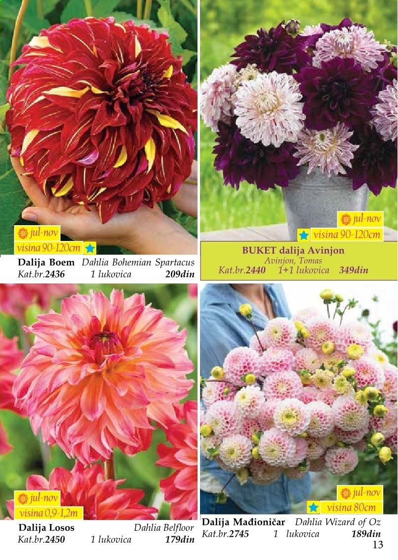 Flora Ekspres katalog. Stranica 13