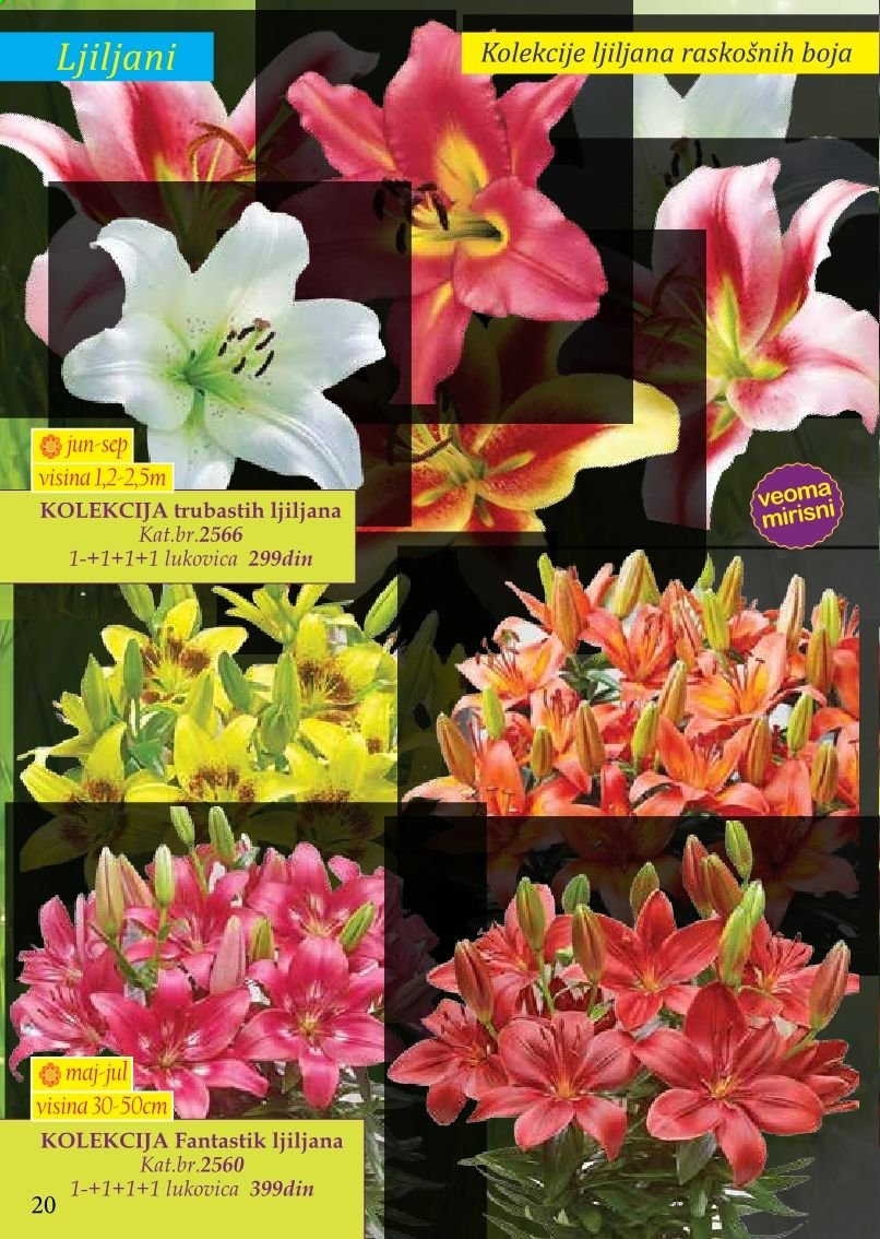 Flora Ekspres katalog. Stranica 20