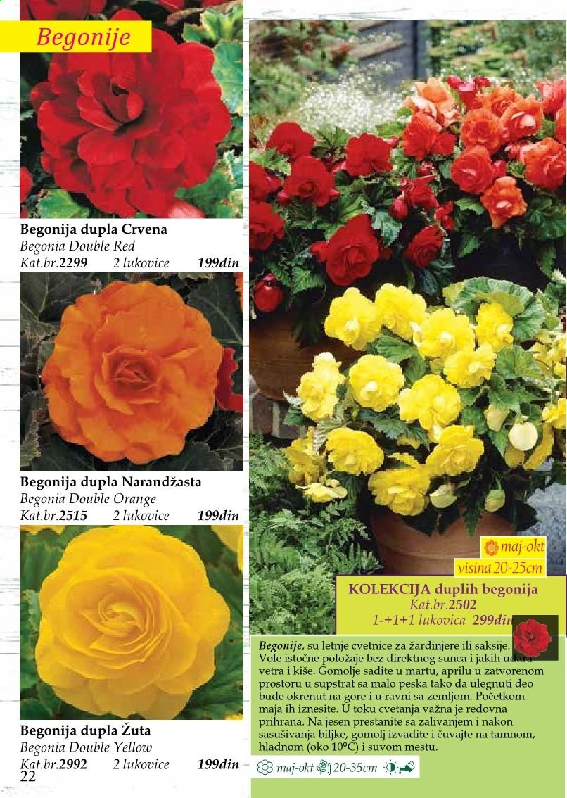 Flora Ekspres katalog. Stranica 22