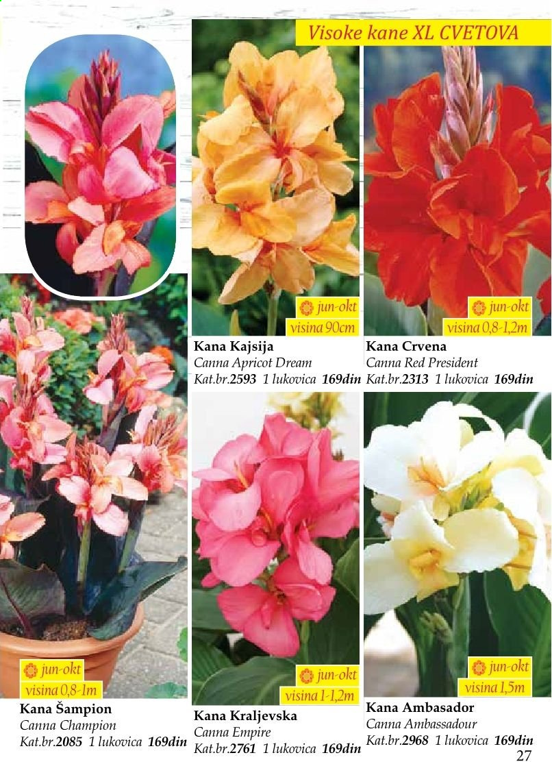 Flora Ekspres katalog. Stranica 27