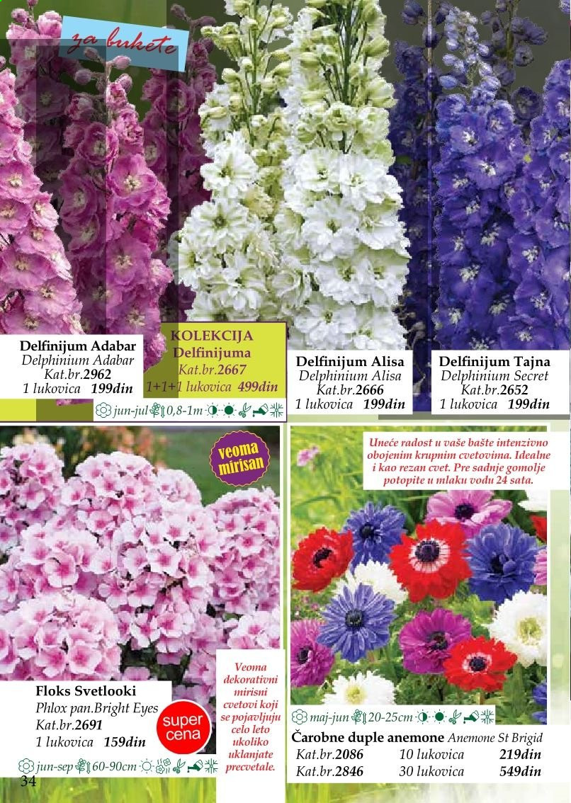Flora Ekspres katalog. Stranica 34