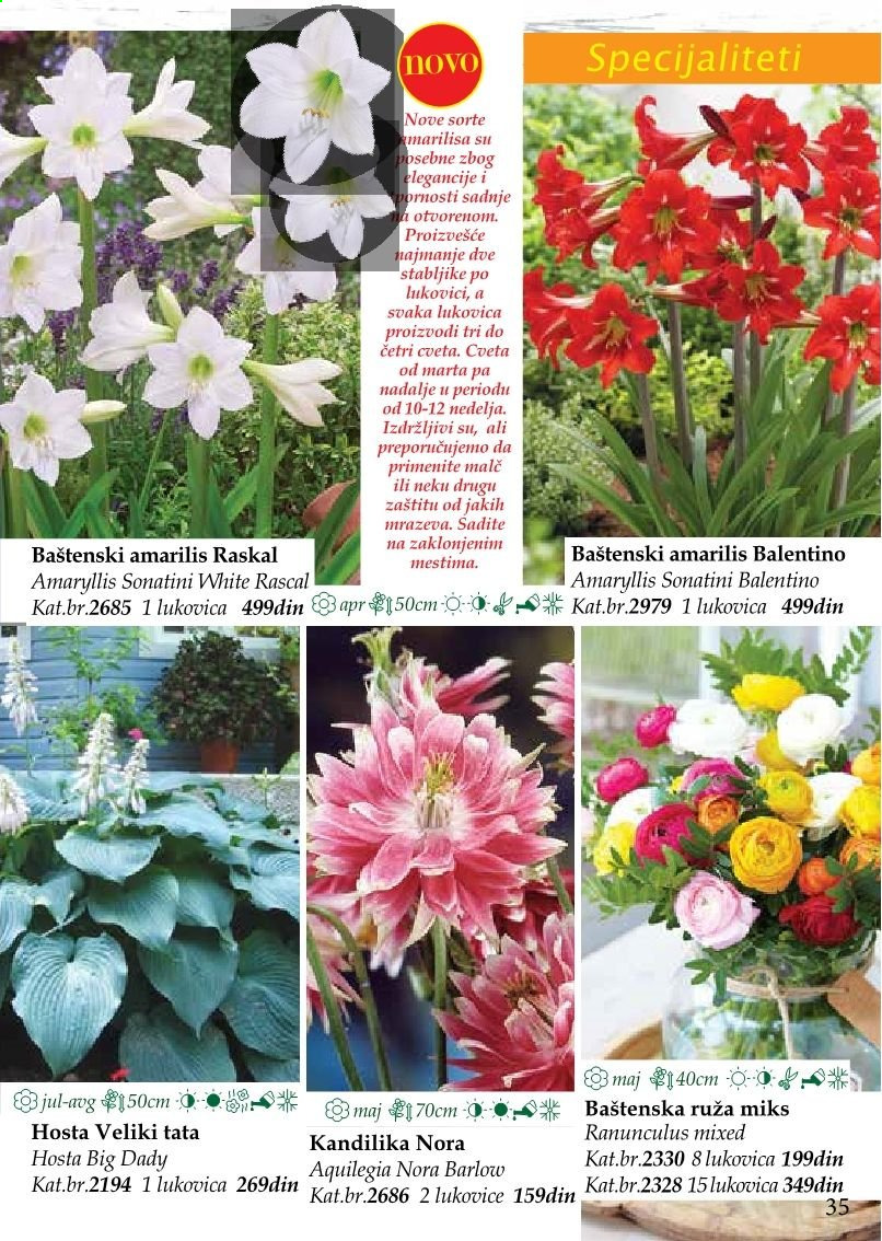 Flora Ekspres katalog. Stranica 35