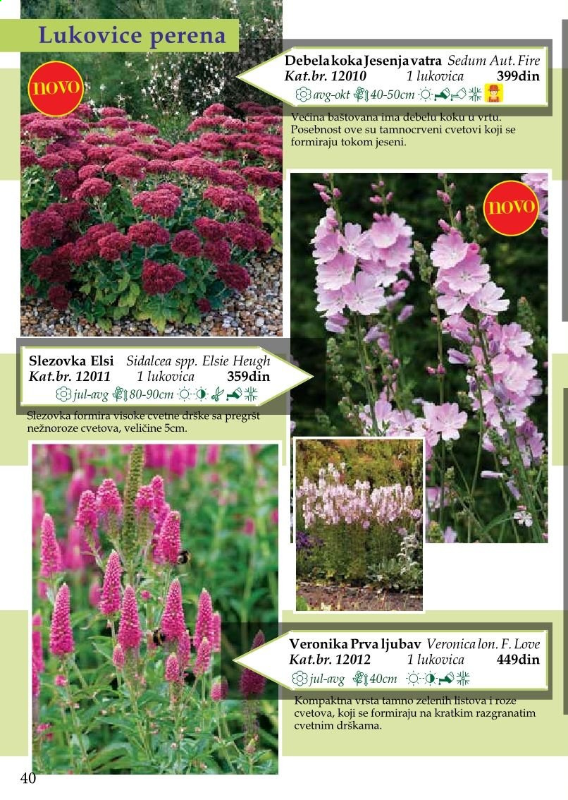 Flora Ekspres katalog. Stranica 40