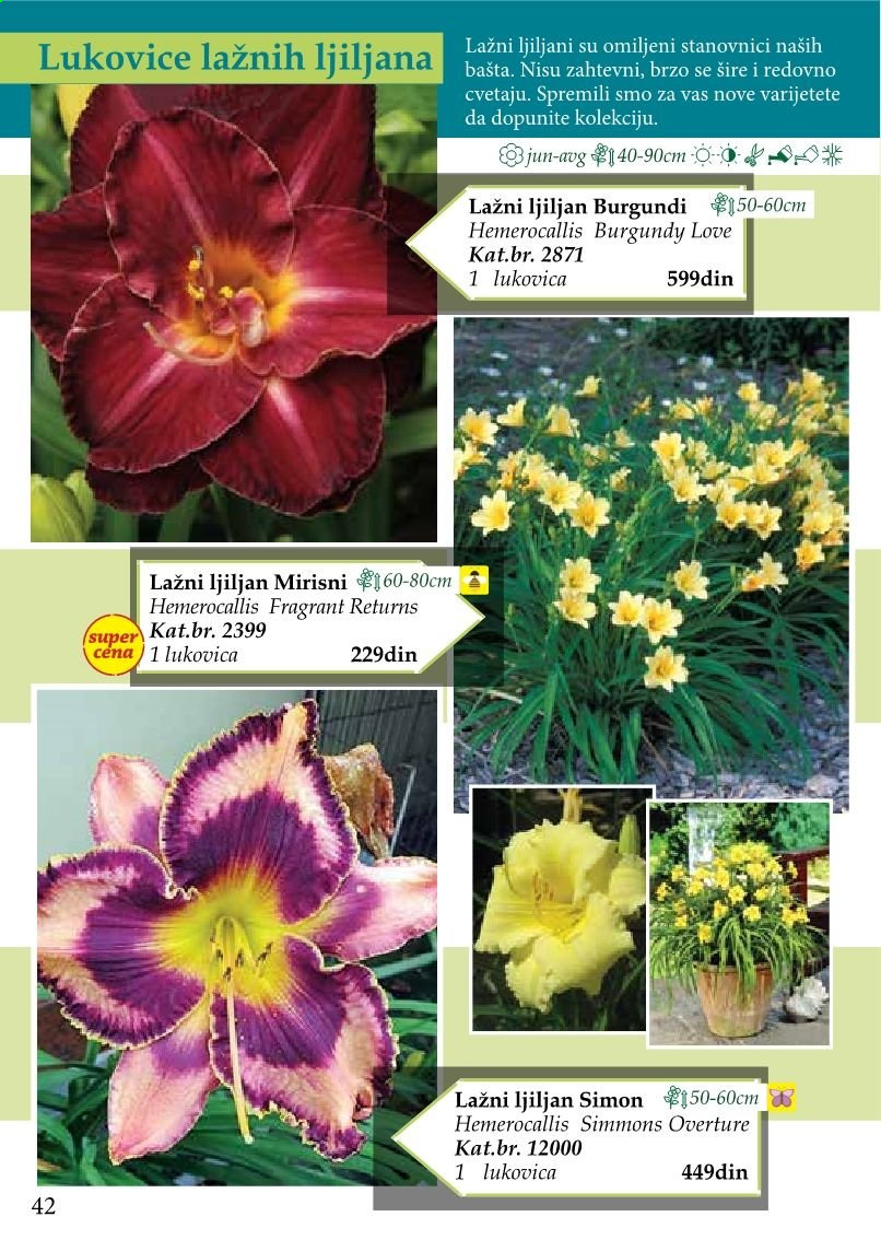 Flora Ekspres katalog. Stranica 42