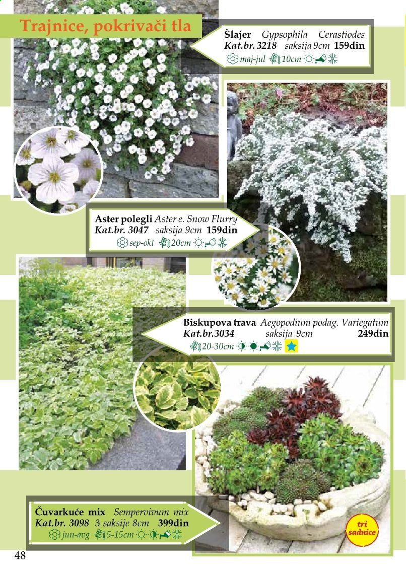 Flora Ekspres katalog. Stranica 48