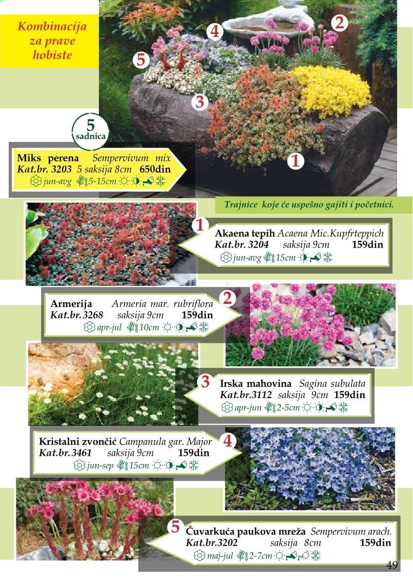 Flora Ekspres katalog. Stranica 49