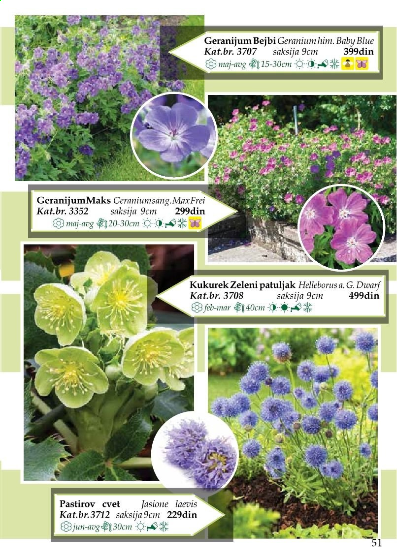 Flora Ekspres katalog. Stranica 51