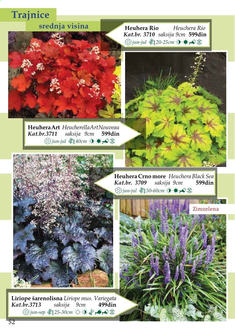 Flora Ekspres katalog. Stranica 52