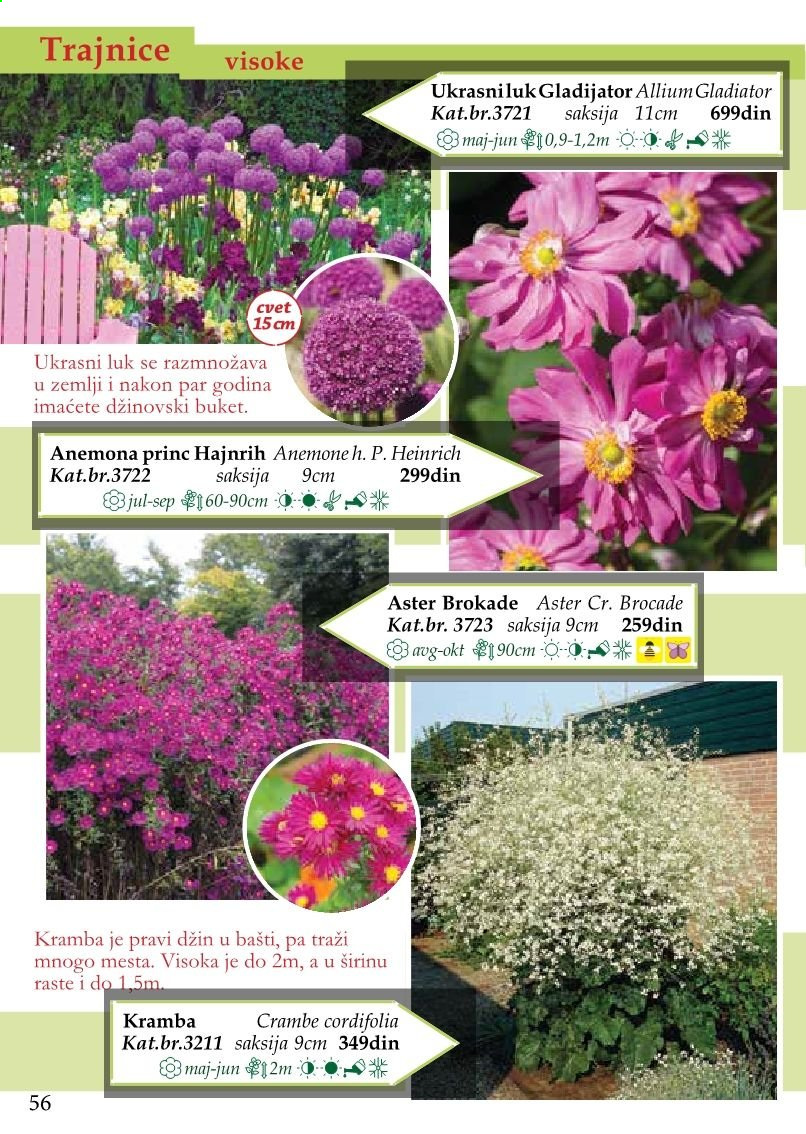 Flora Ekspres katalog. Stranica 56