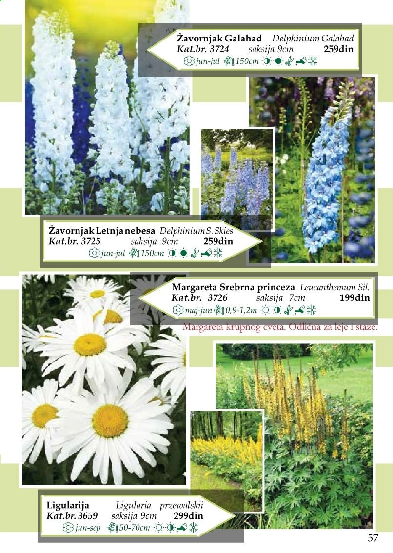Flora Ekspres katalog. Stranica 57