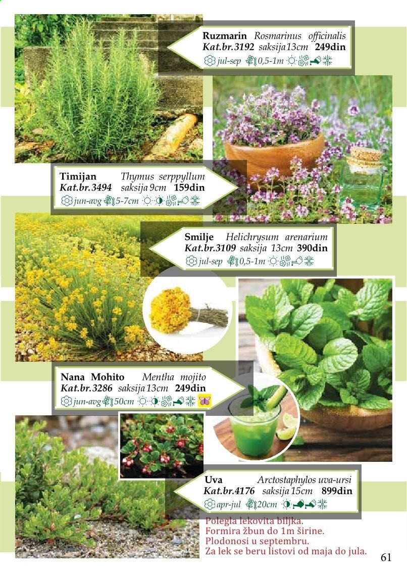Flora Ekspres katalog. Stranica 61