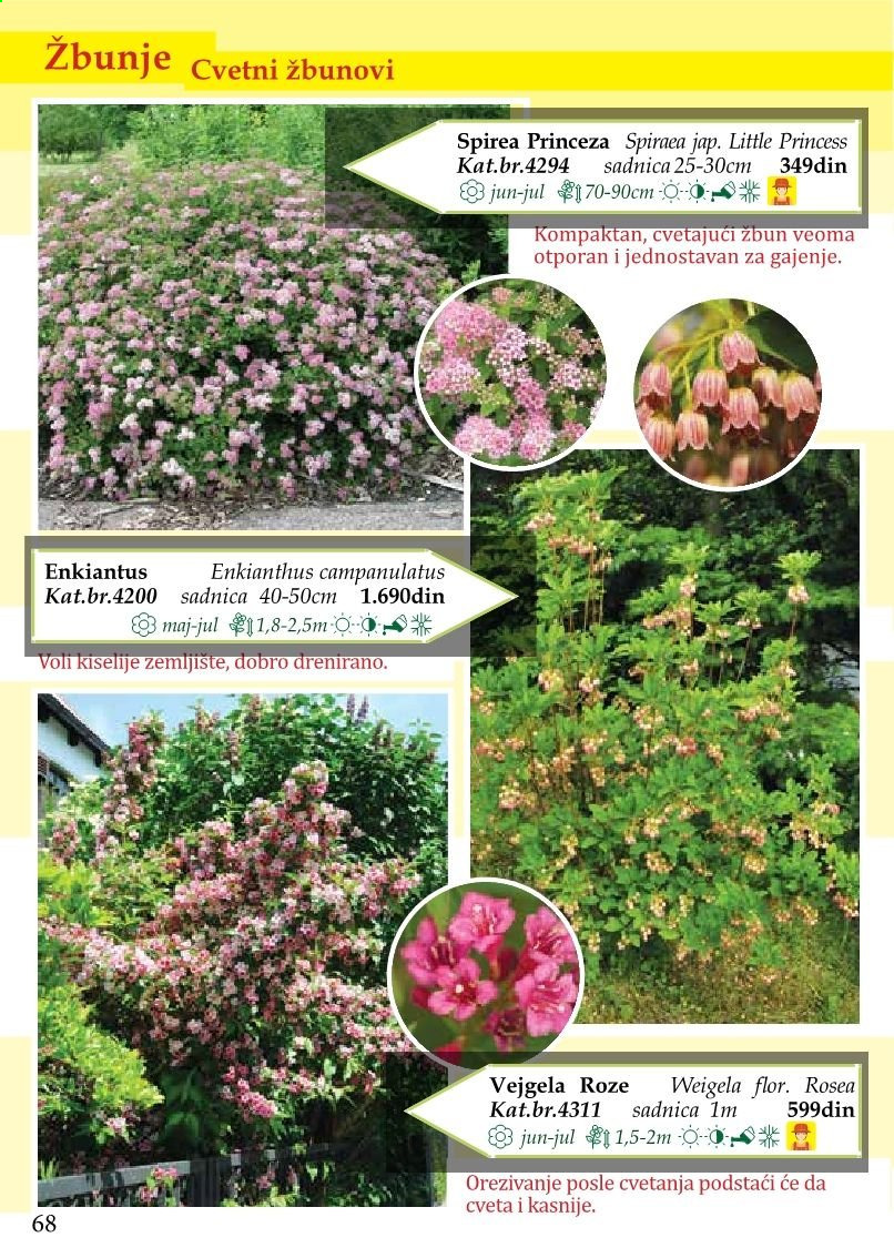 Flora Ekspres katalog. Stranica 68