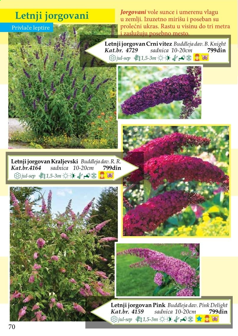 Flora Ekspres katalog. Stranica 70