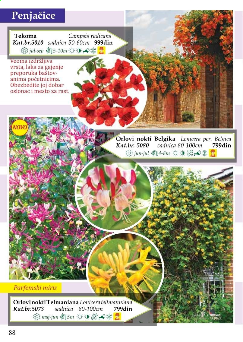 Flora Ekspres katalog. Stranica 88