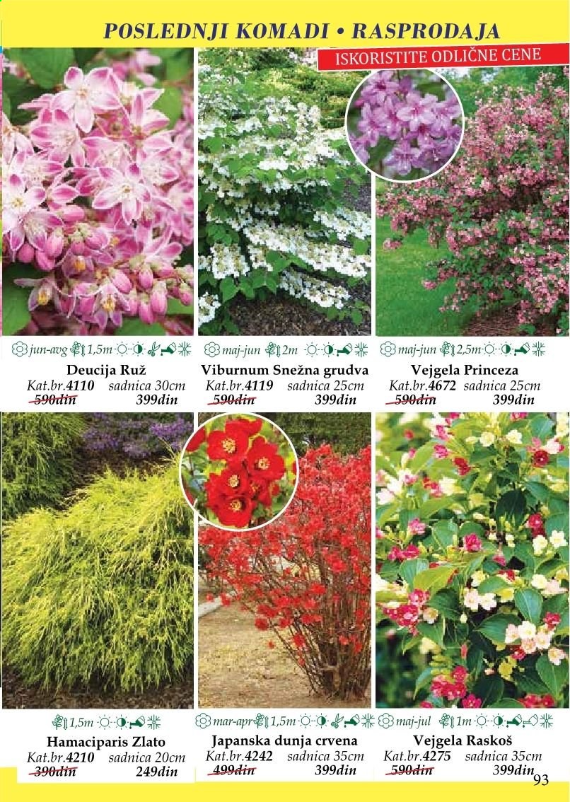 Flora Ekspres katalog. Stranica 93