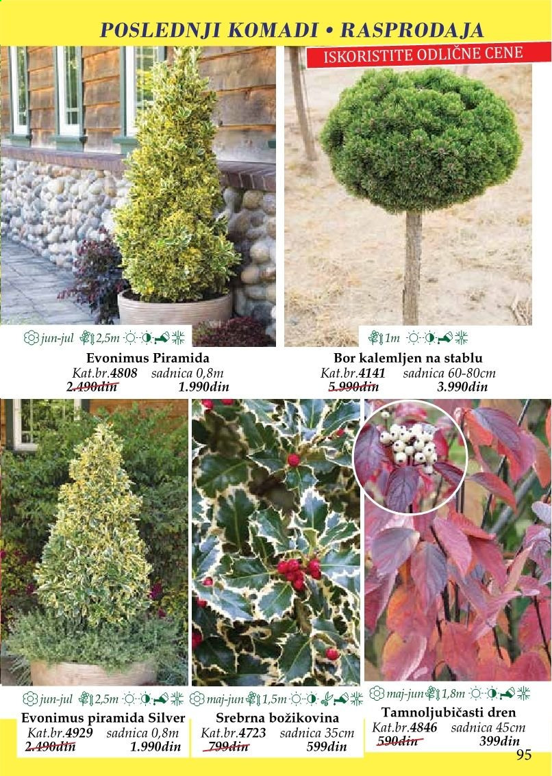 Flora Ekspres katalog. Stranica 95
