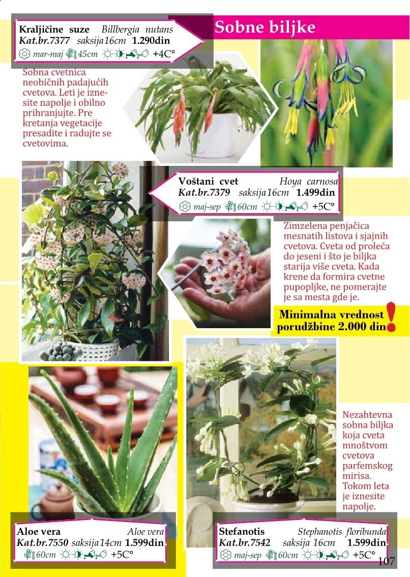 Flora Ekspres katalog. Stranica 107