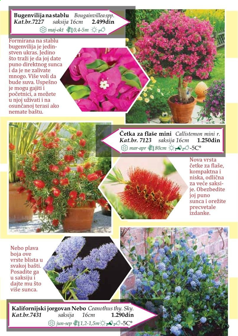 Flora Ekspres katalog. Stranica 109