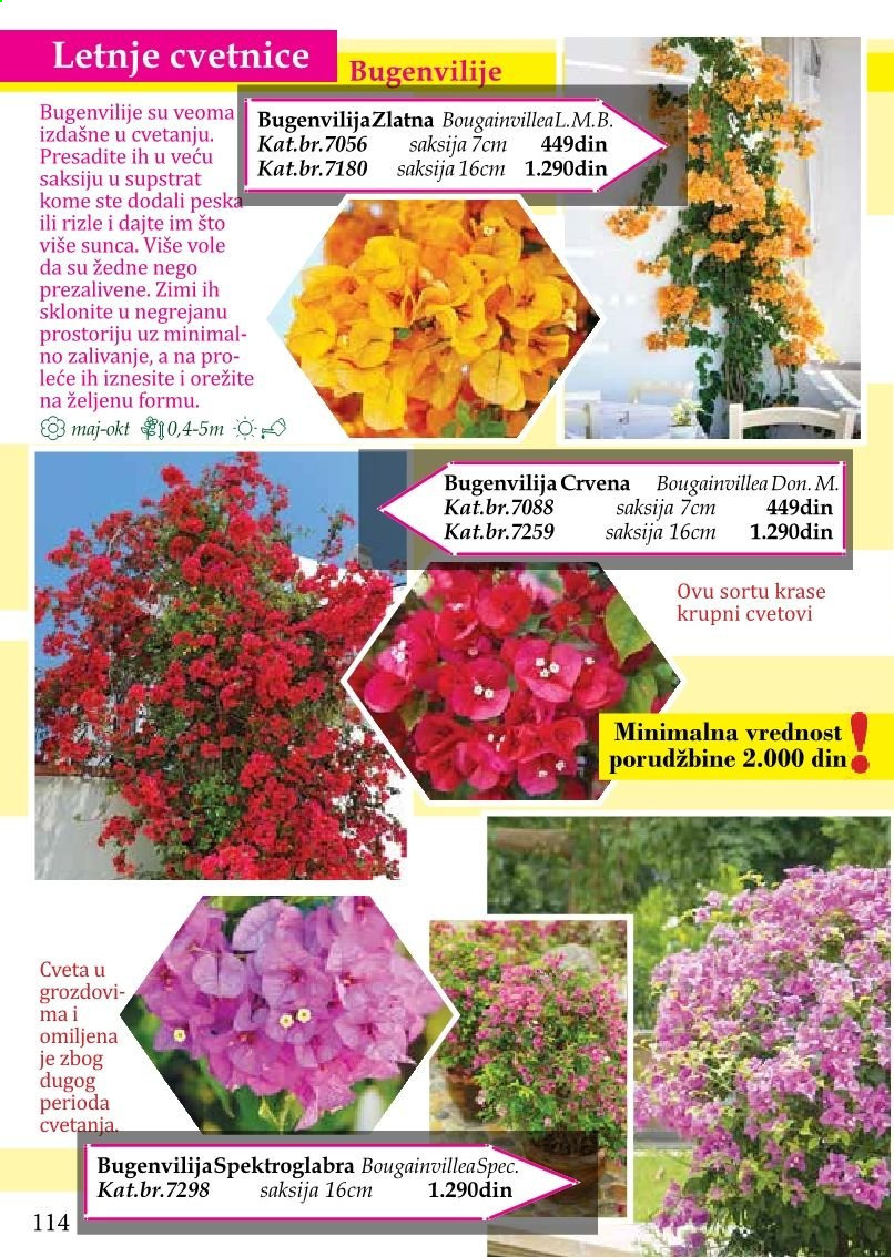 Flora Ekspres katalog. Stranica 114