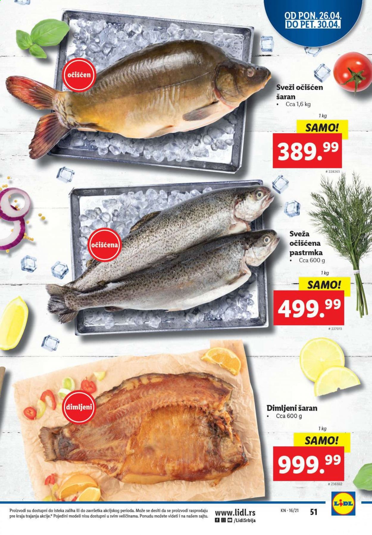 Lidl katalog - 22.04.2021 - 28.04.2021. Stranica 51
