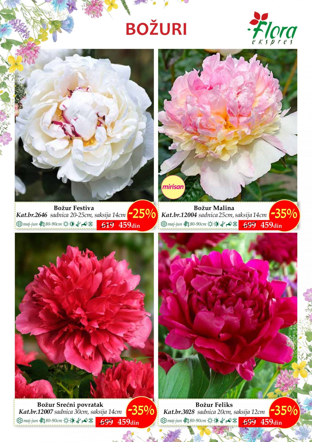 Flora Ekspres katalog. Stranica 5