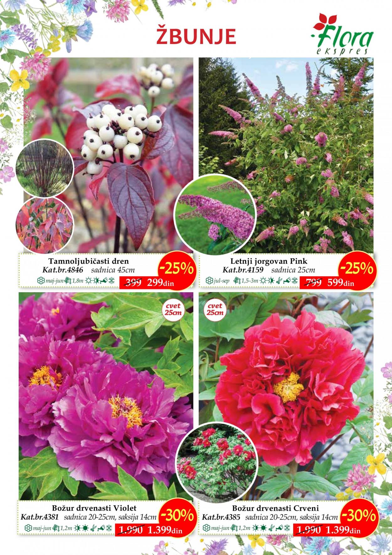 Flora Ekspres katalog. Stranica 12