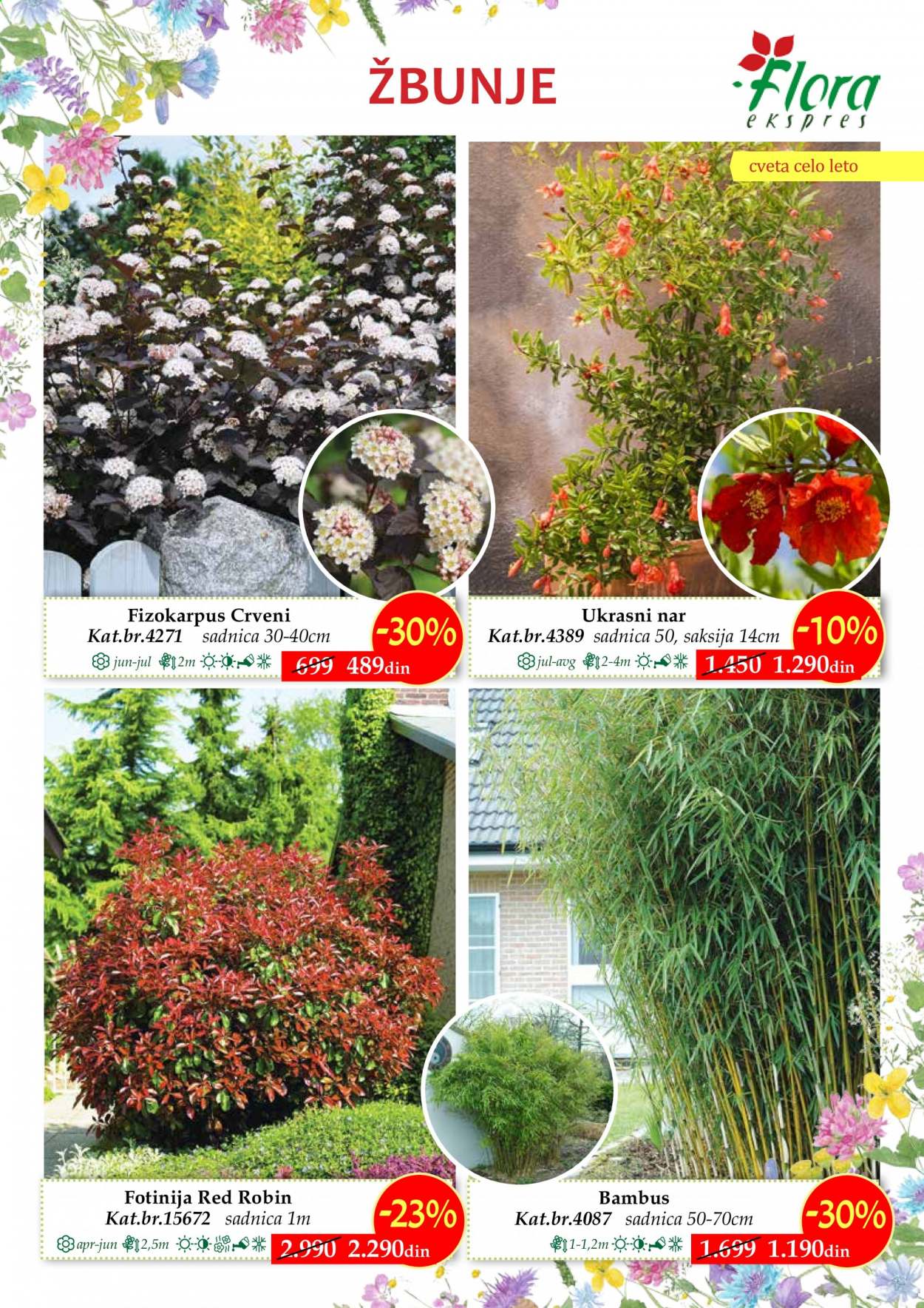 Flora Ekspres katalog. Stranica 13