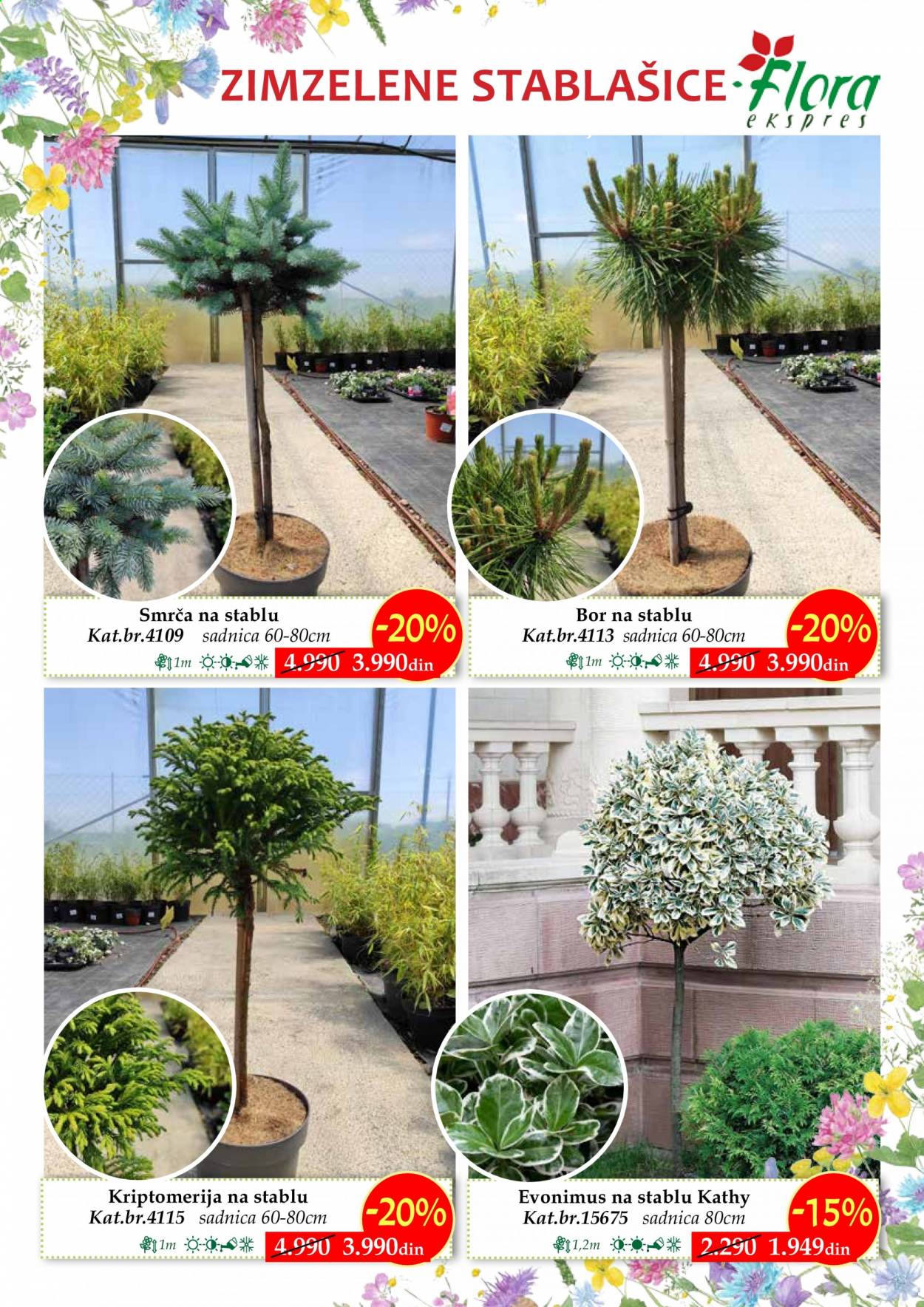 Flora Ekspres katalog. Stranica 19