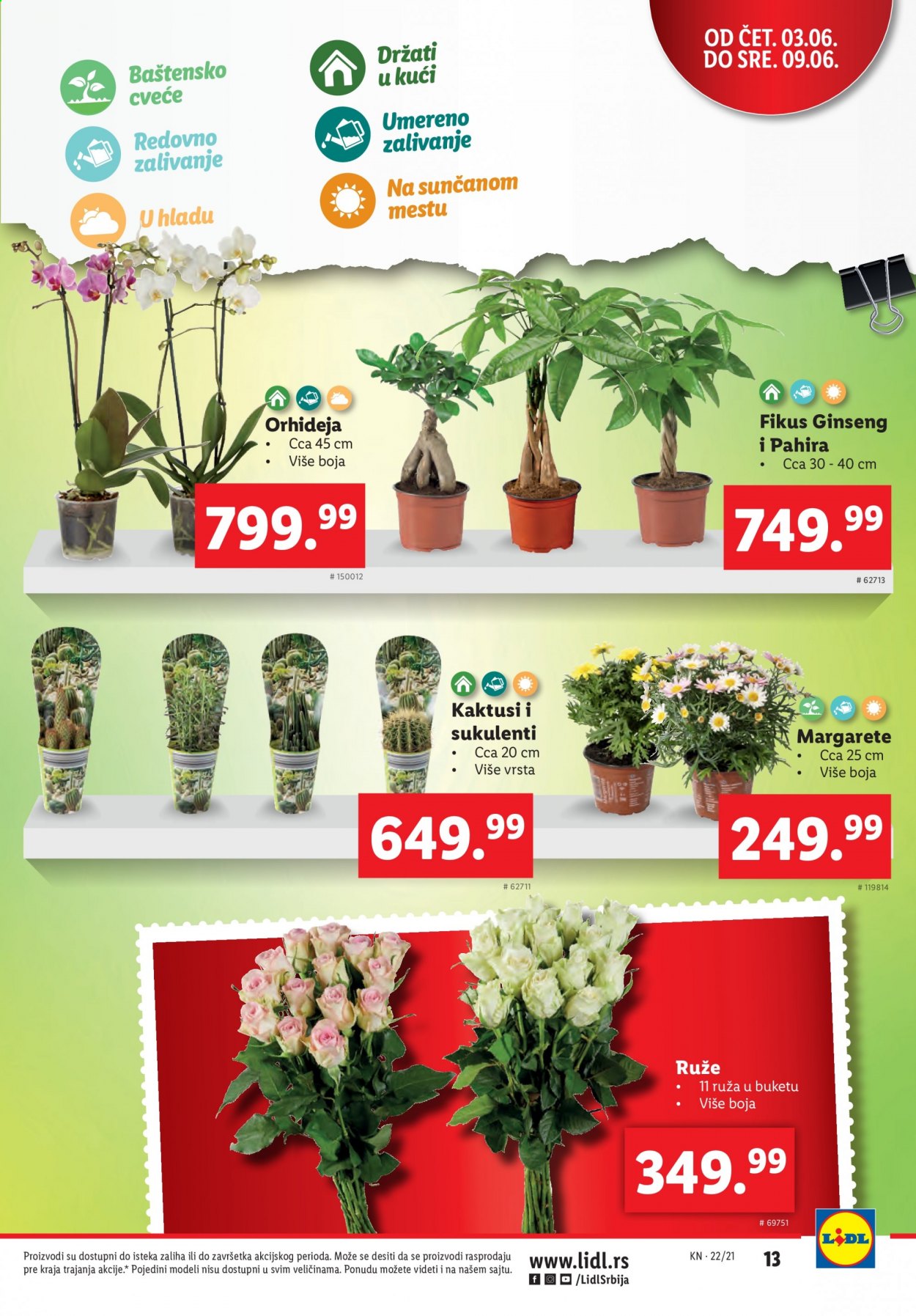 Lidl katalog - 03.06.2021 - 09.06.2021. Stranica 13