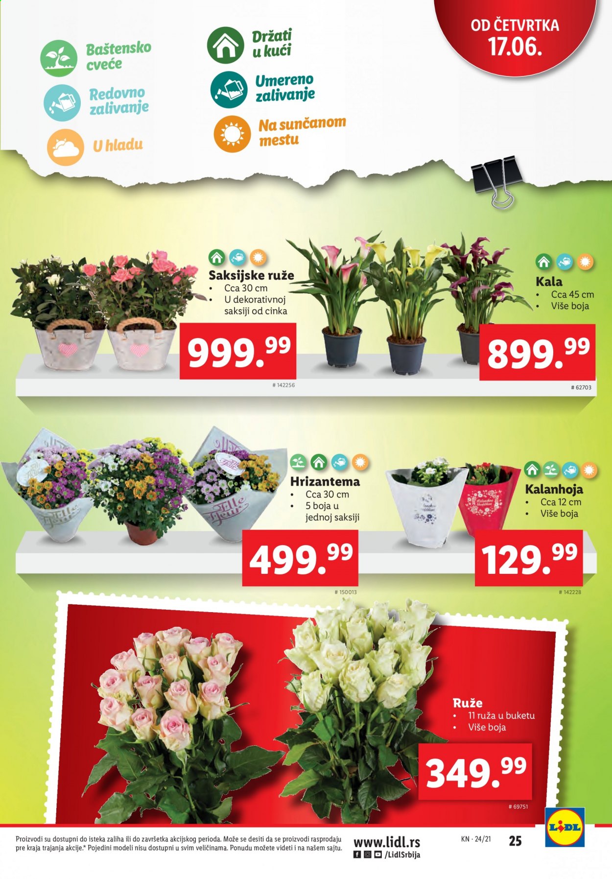 Lidl katalog - 17.06.2021 - 23.06.2021. Stranica 25