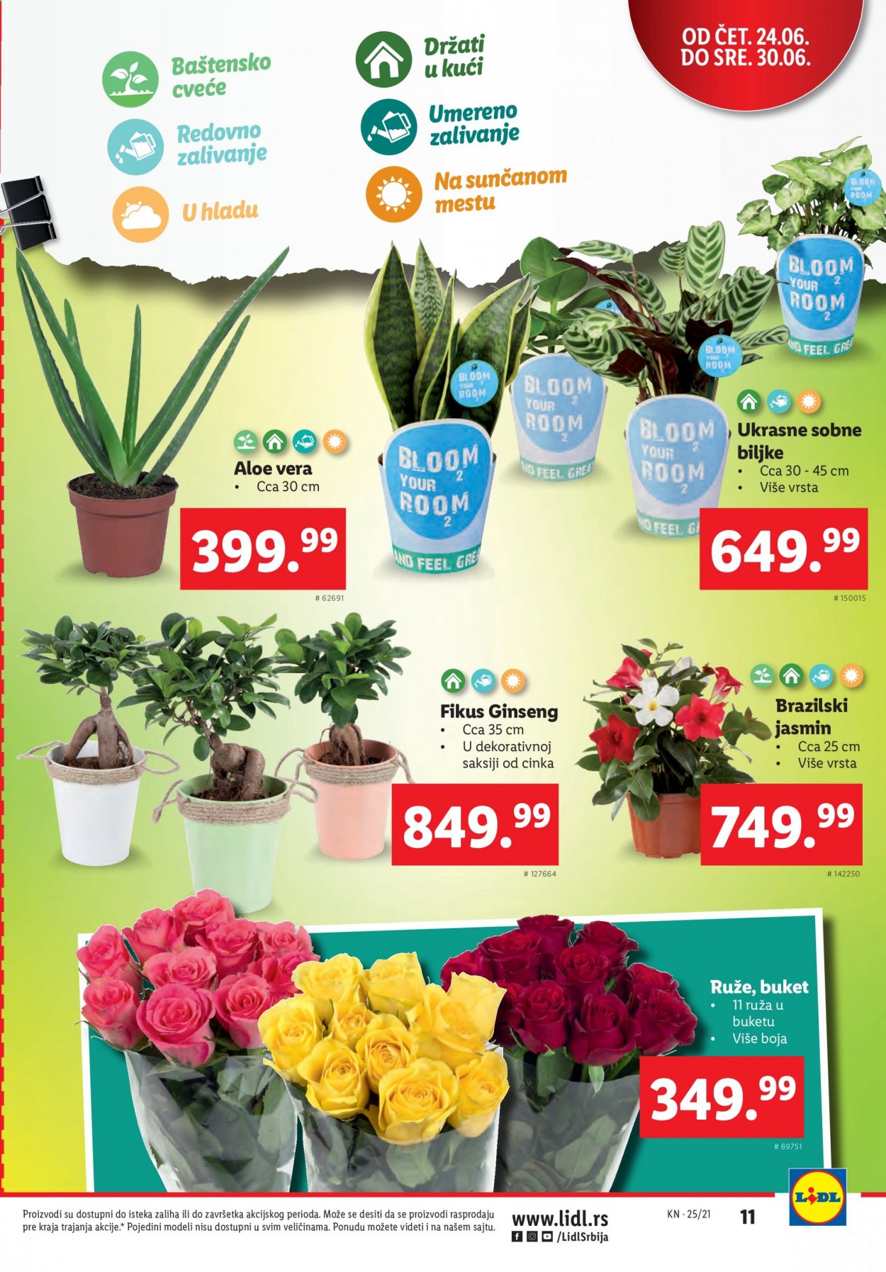Lidl katalog - 24.06.2021 - 30.06.2021. Stranica 11