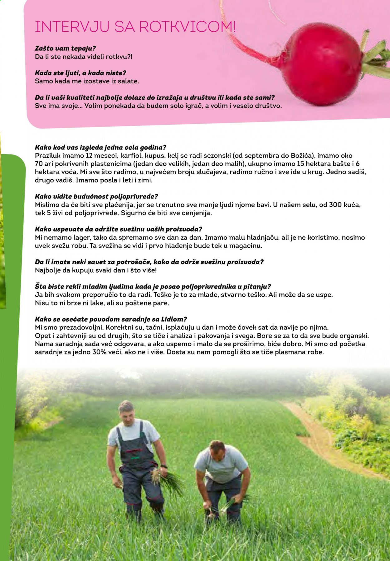 Lidl katalog. Stranica 21