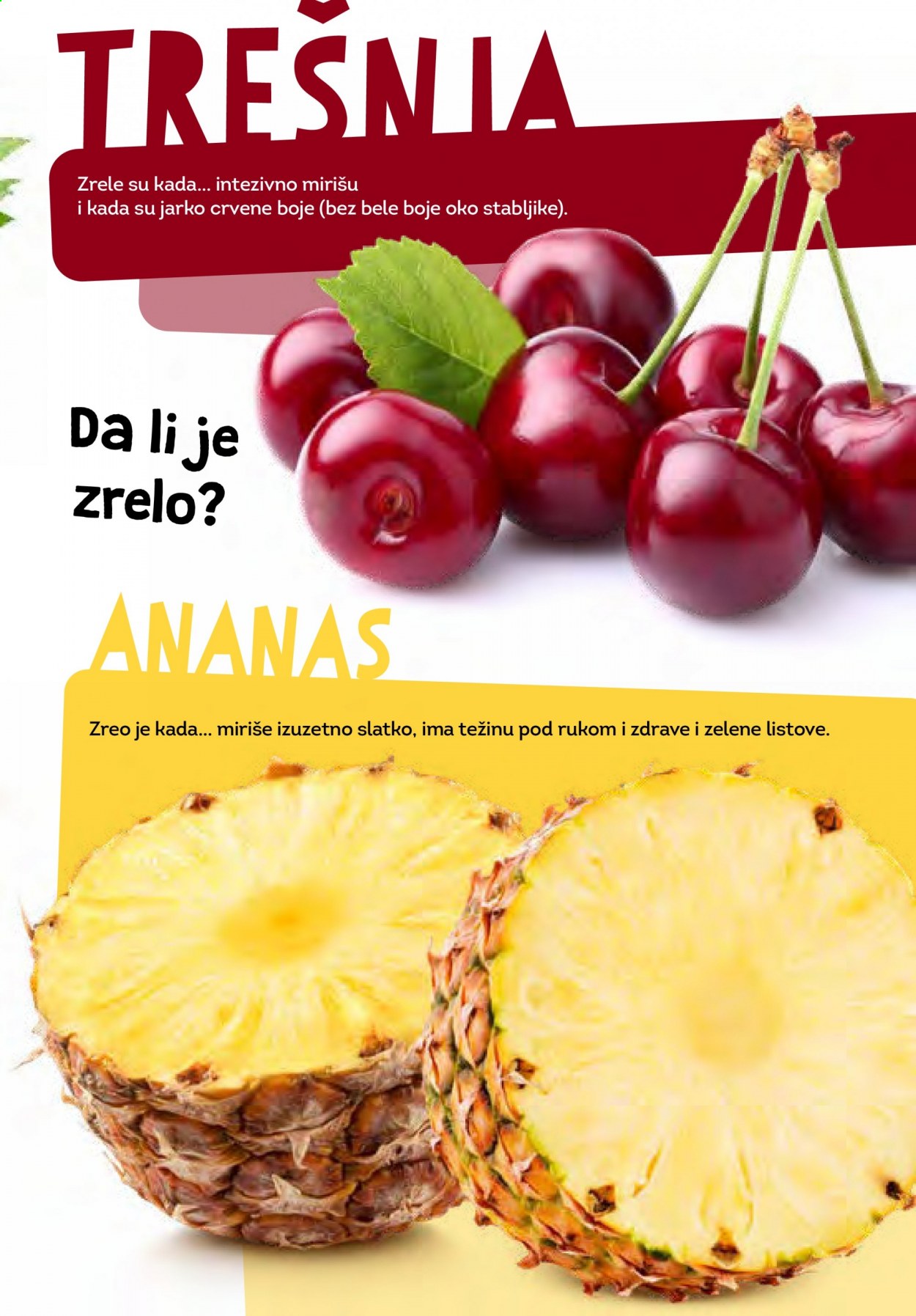 Lidl katalog. Stranica 31