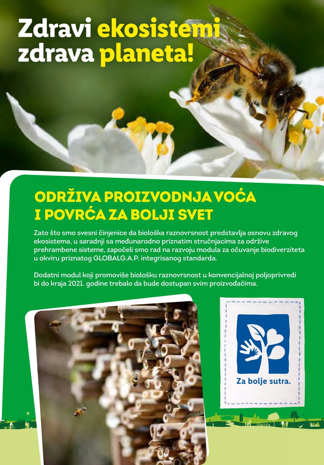 Lidl katalog. Stranica 45