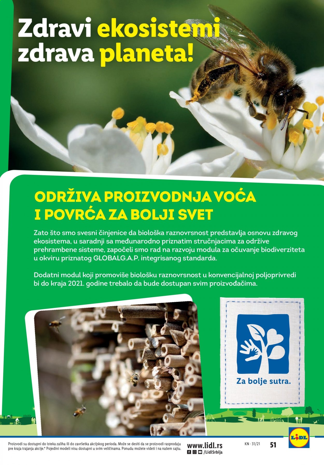 Lidl katalog - 05.08.2021 - 11.08.2021. Stranica 51