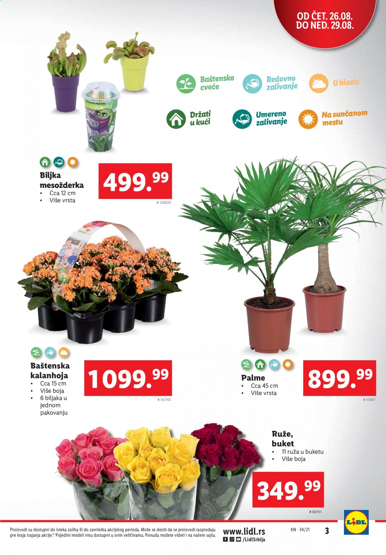 Lidl katalog - 26.08.2021 - 01.09.2021. Stranica 3