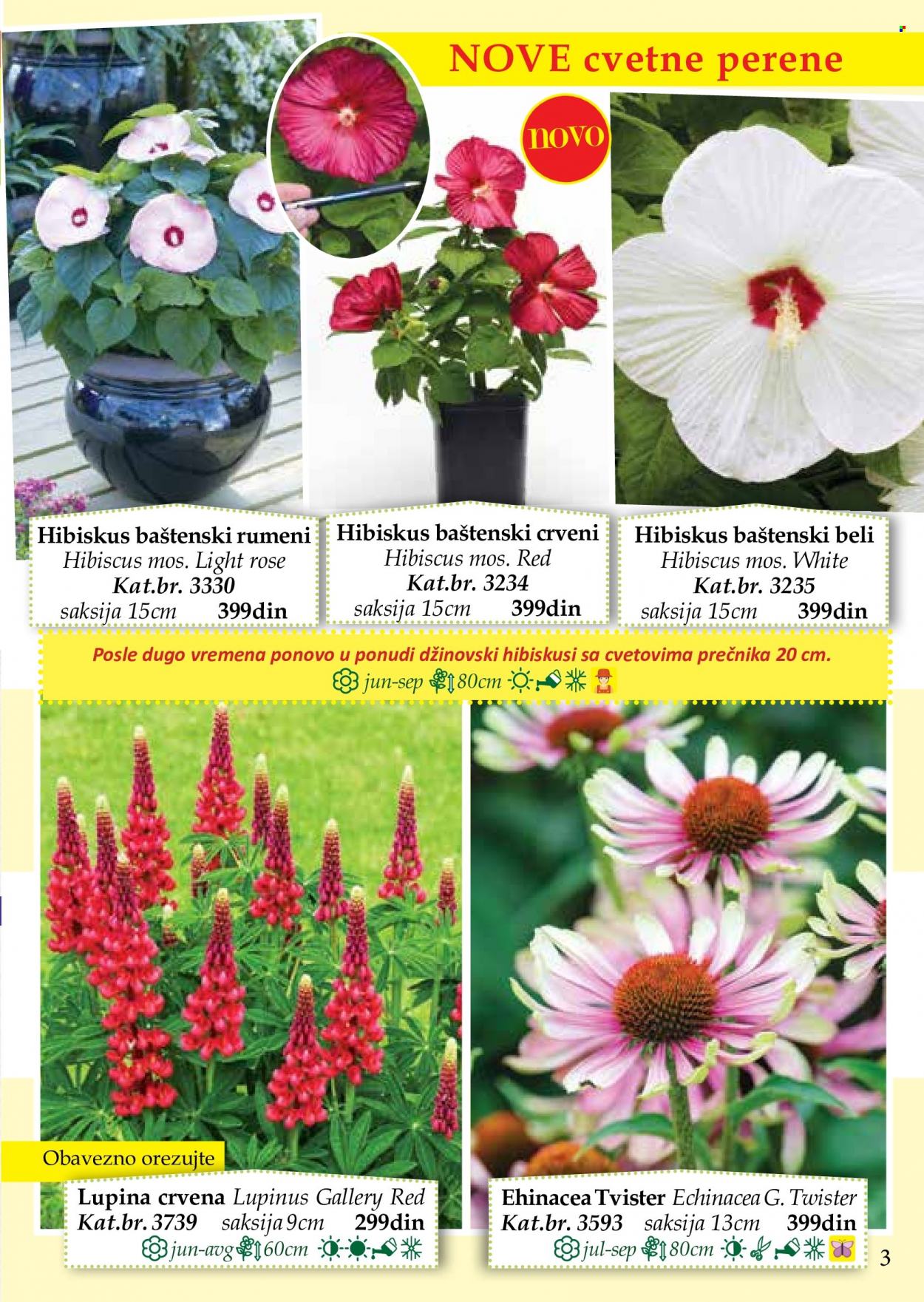 Flora Ekspres katalog. Stranica 3