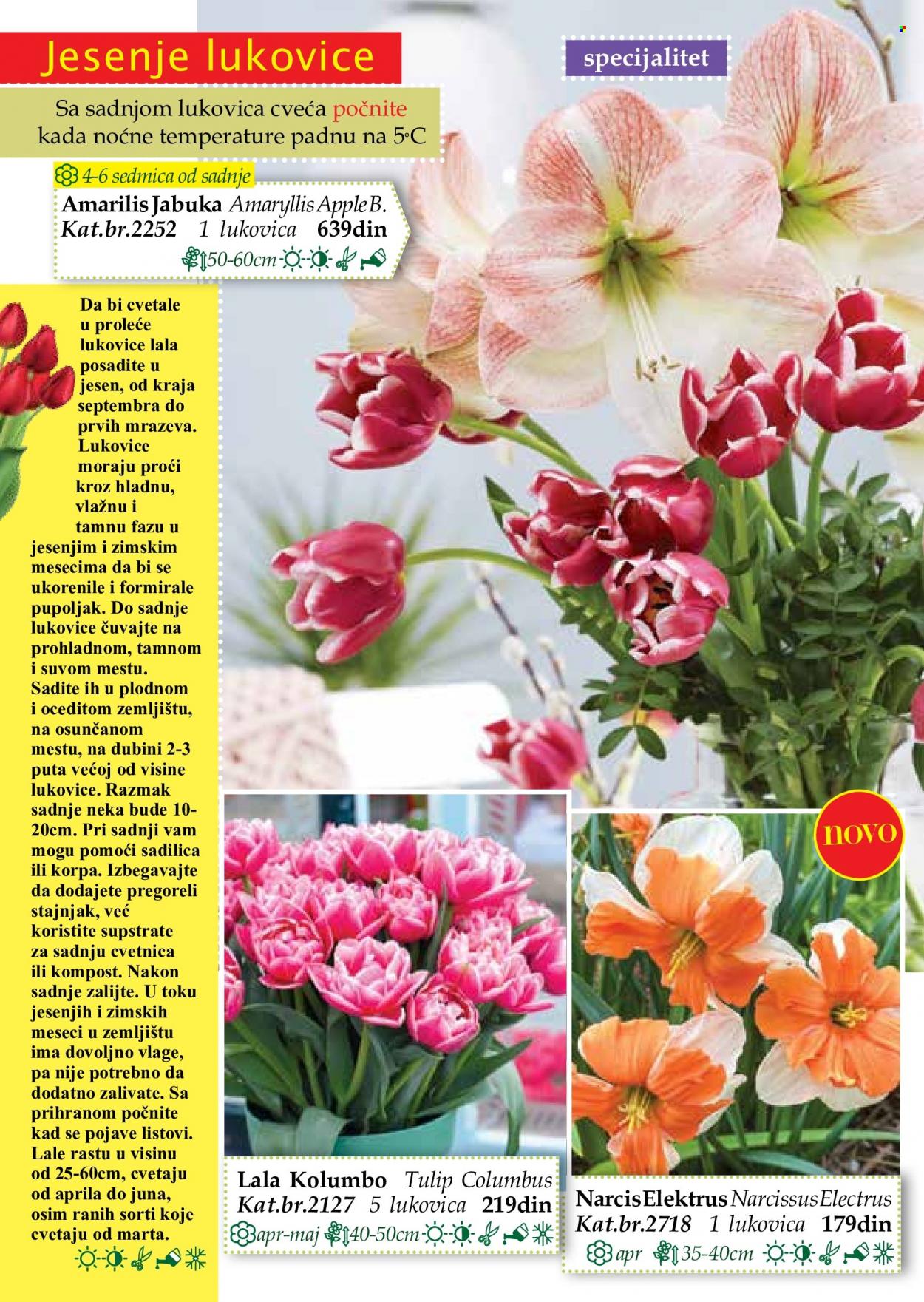 Flora Ekspres katalog. Stranica 4