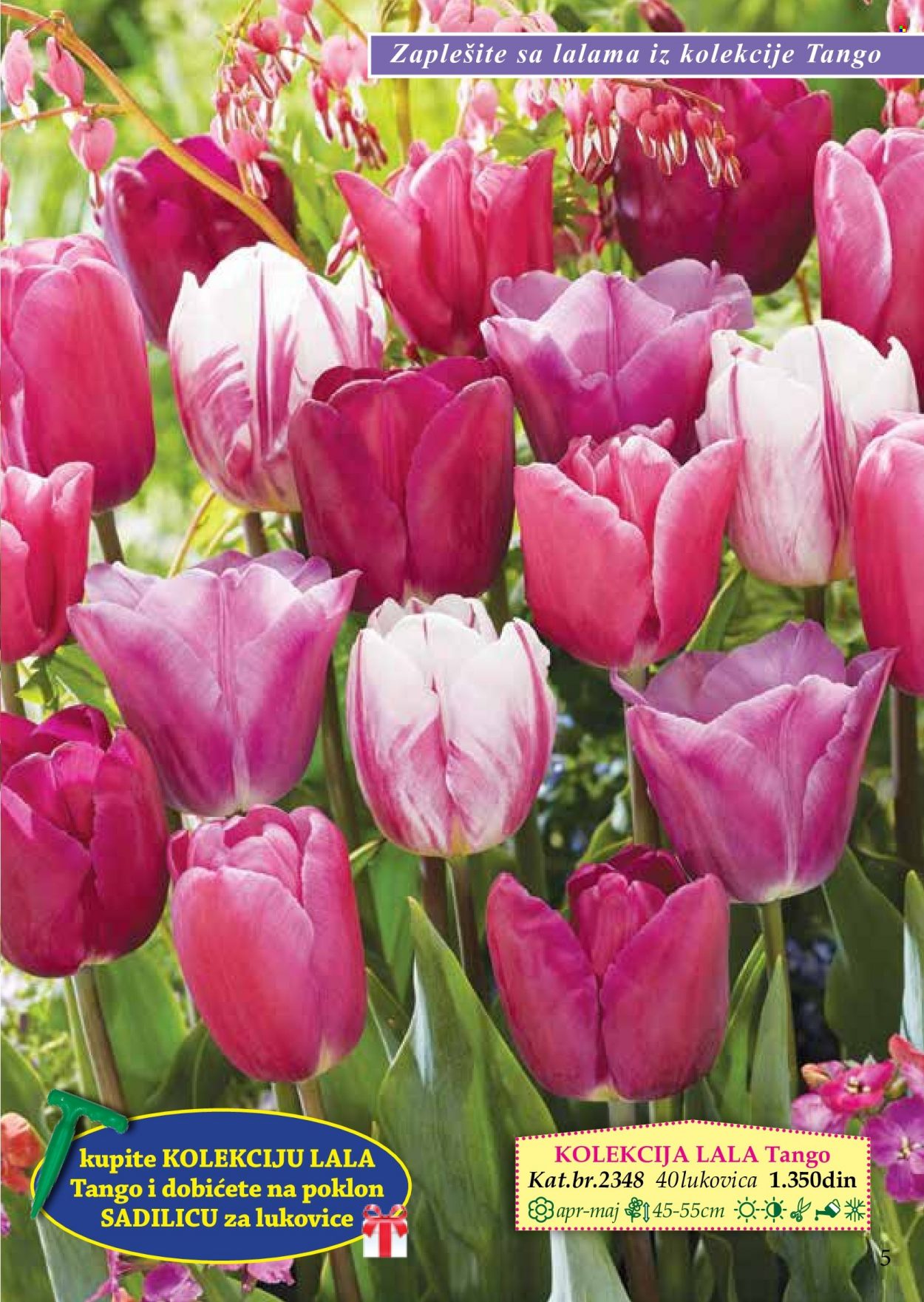 Flora Ekspres katalog. Stranica 5