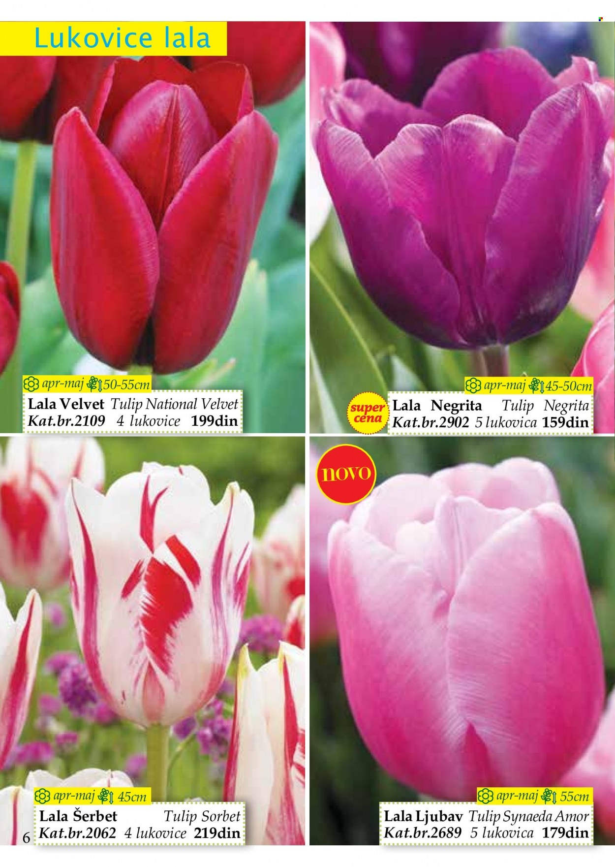 Flora Ekspres katalog. Stranica 6