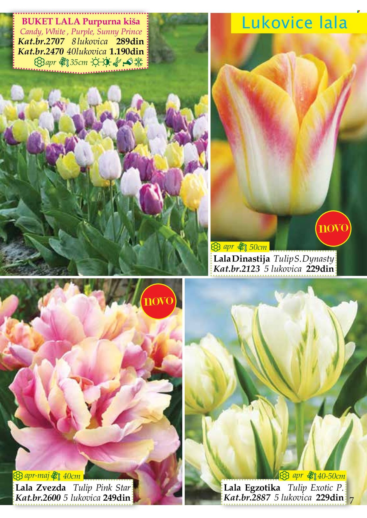 Flora Ekspres katalog. Stranica 7