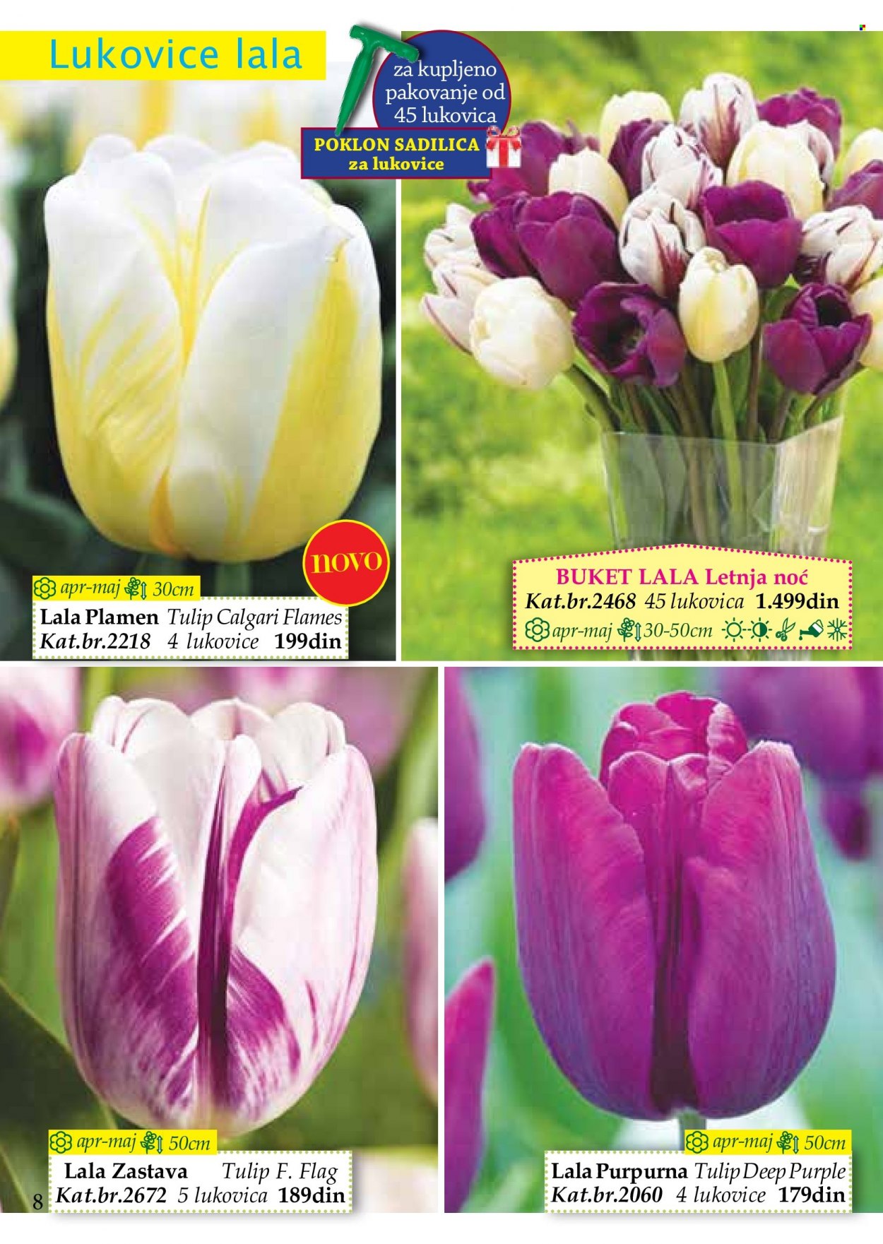 Flora Ekspres katalog. Stranica 8