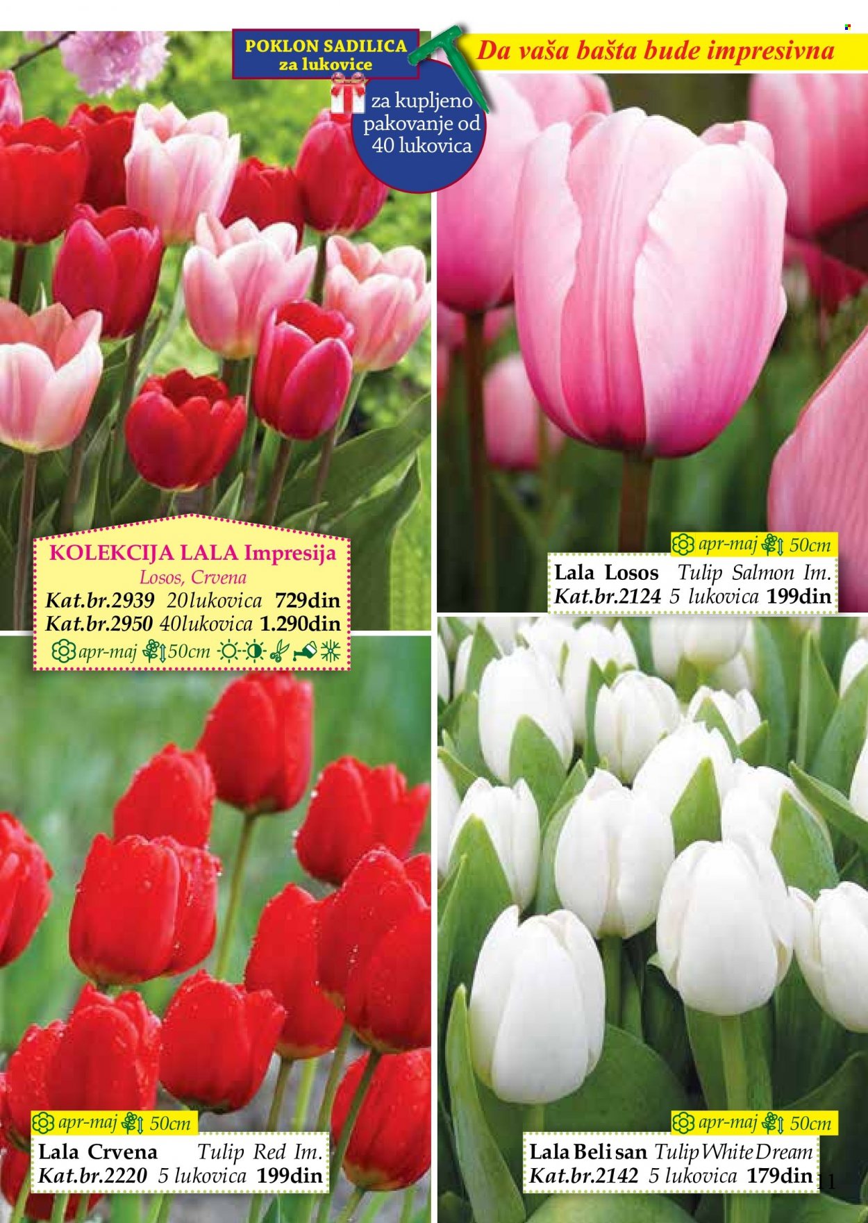 Flora Ekspres katalog. Stranica 11