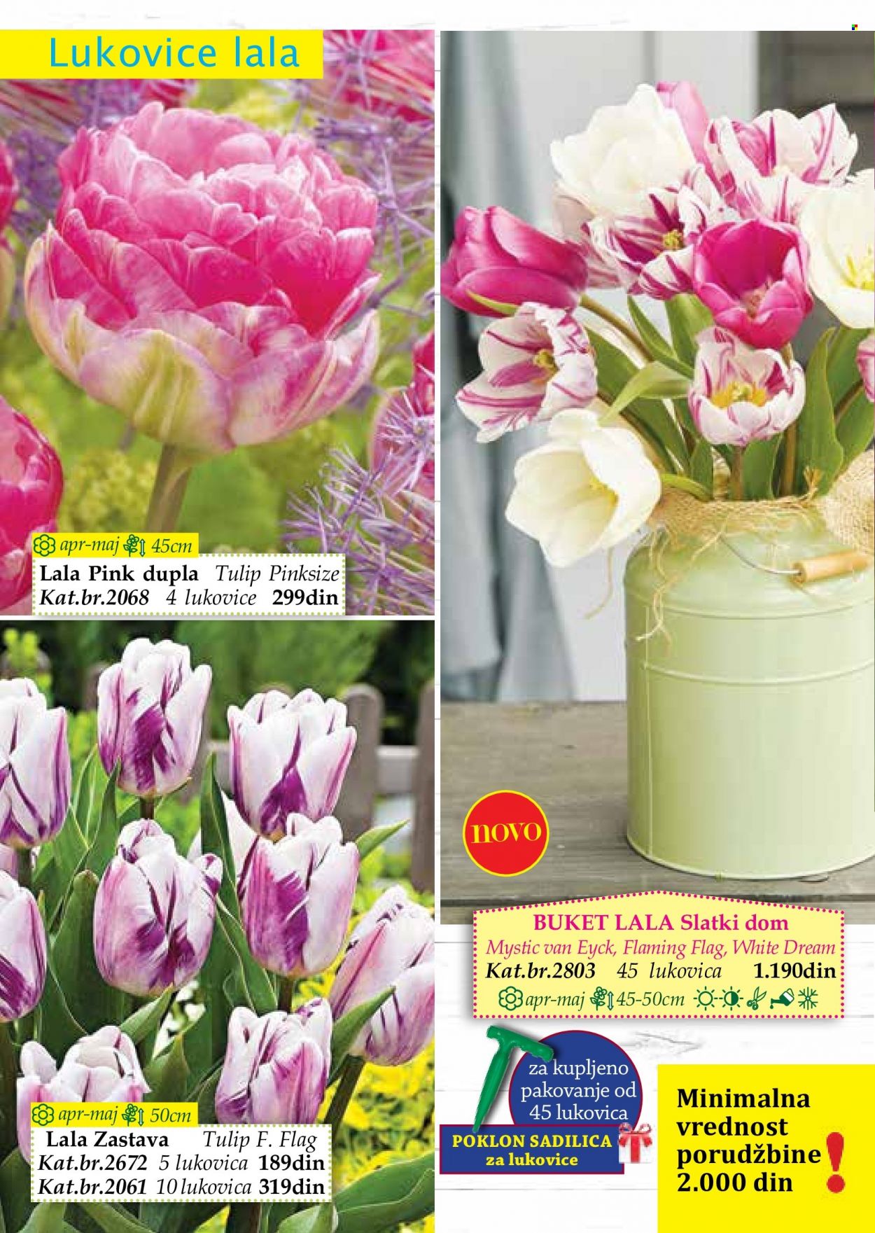 Flora Ekspres katalog. Stranica 12