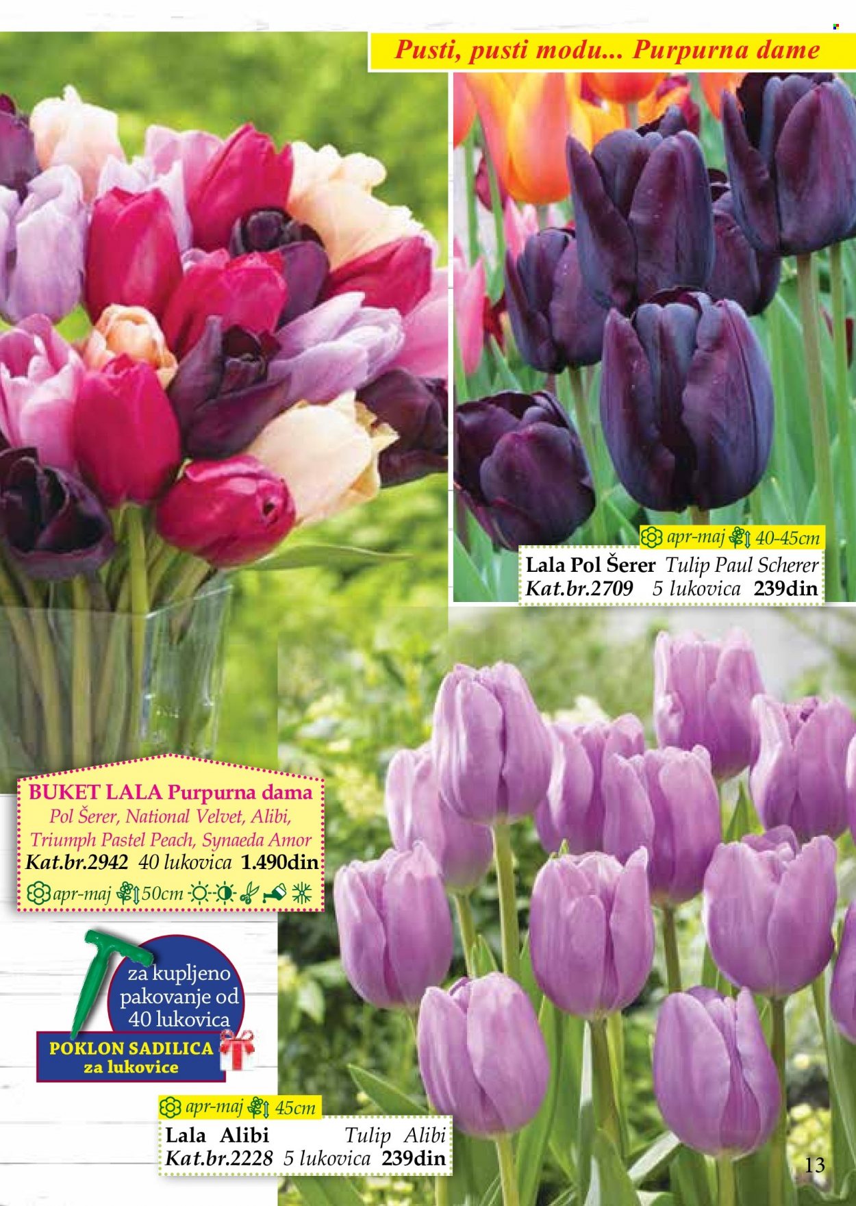 Flora Ekspres katalog. Stranica 13