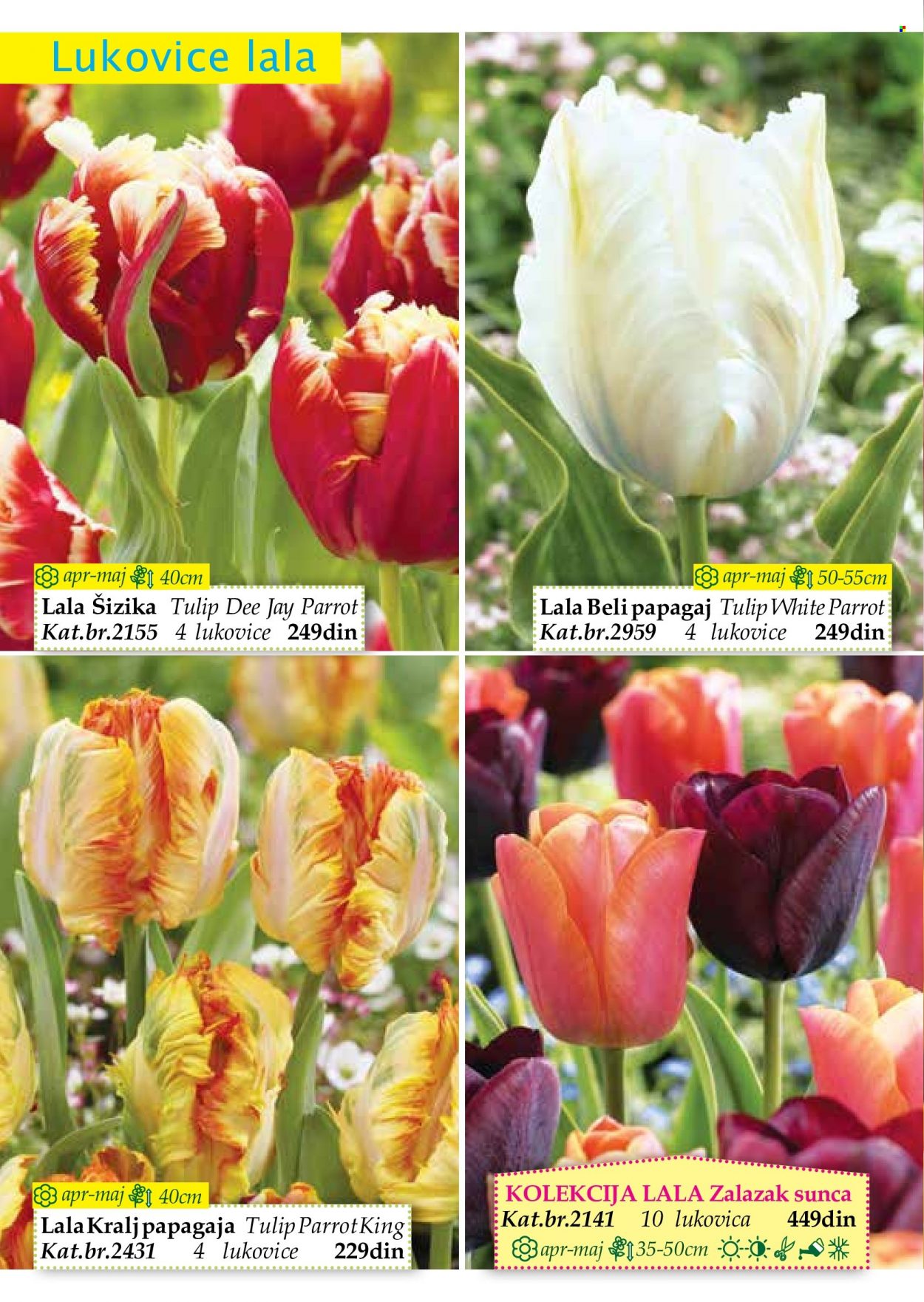 Flora Ekspres katalog. Stranica 14