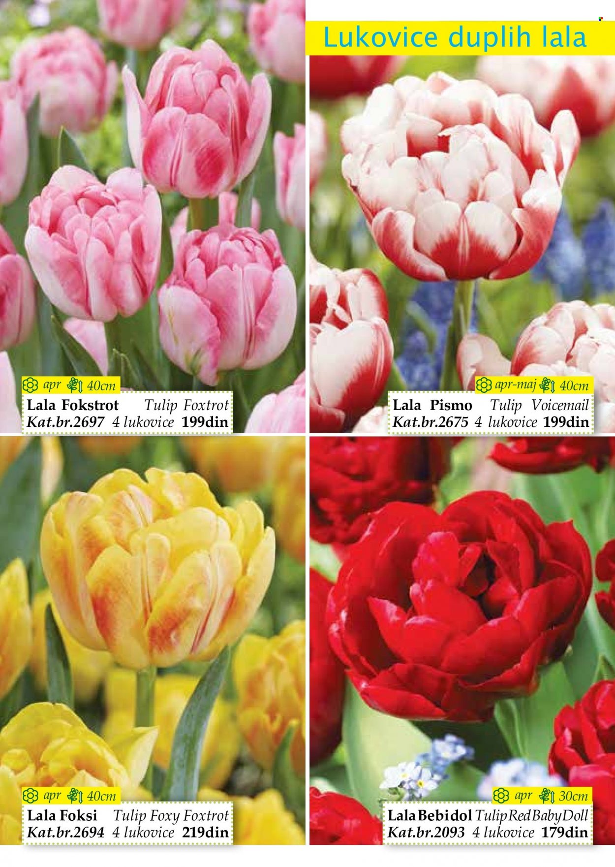 Flora Ekspres katalog. Stranica 15