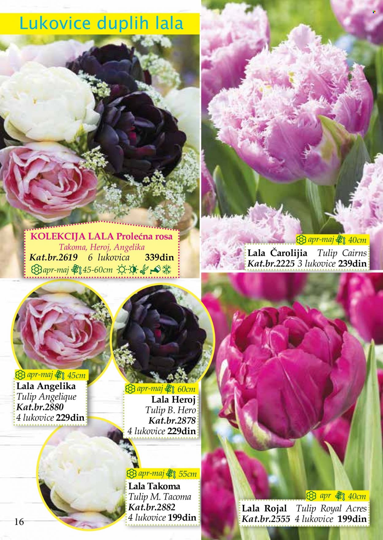Flora Ekspres katalog. Stranica 16