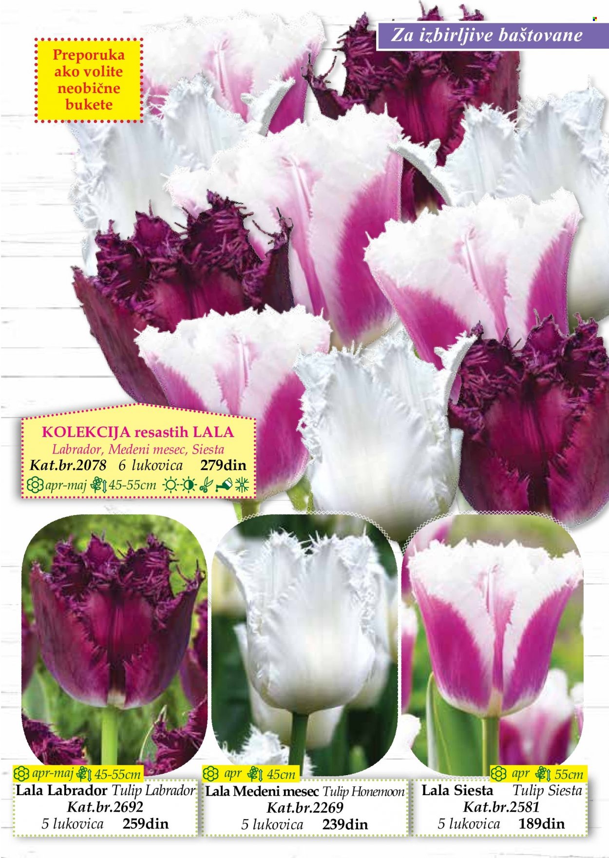 Flora Ekspres katalog. Stranica 17